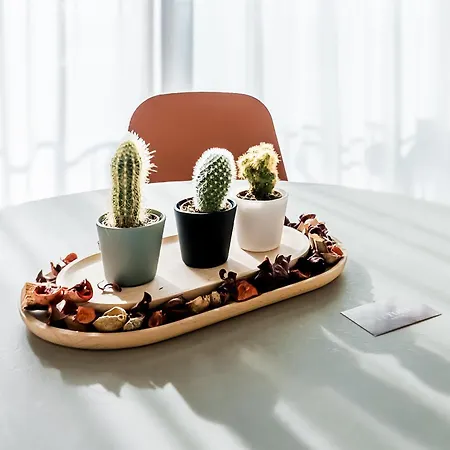 Apartamento Vittoria